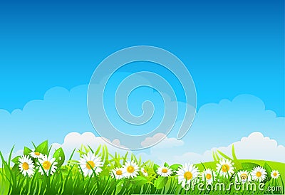 Summer background with flowers Vector Illustration