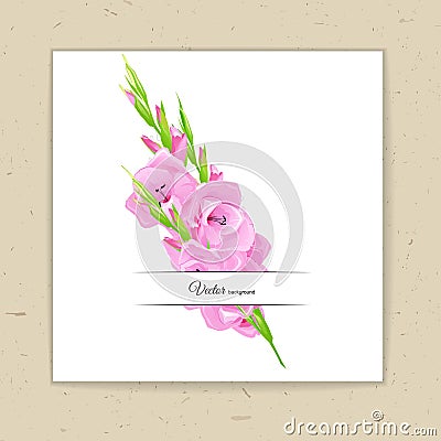 Summer background with pink gladiolus. Vector Illustration