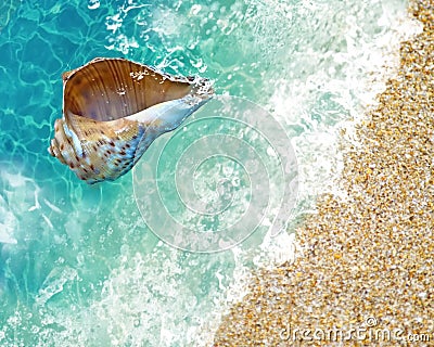 Summer background seashell sea wave blue marine water splash template background copy space banner abstract tropic Stock Photo