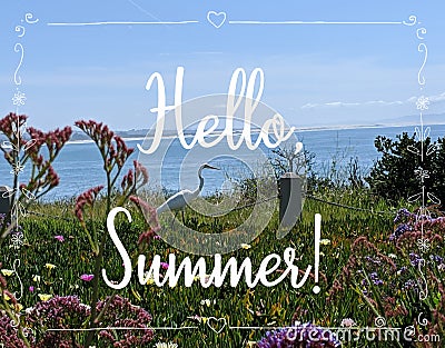 Summer background with text Hello,Summer. Cartoon Illustration
