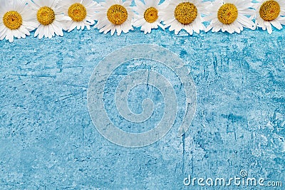 Summer background. White daisy border on blue background. Copy s Stock Photo