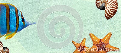 Summer banner with oil paint and watercolor brushes. Seashell, fishes, starfish on a marine background with text space. Stock Photo