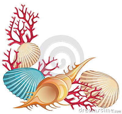 Summer banner with seashells Vector Illustration