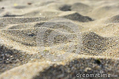 Summer beach background. Sand and sea Stock Photo
