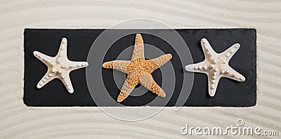 Summer beach concept: three starfishes on a black board for deco Stock Photo