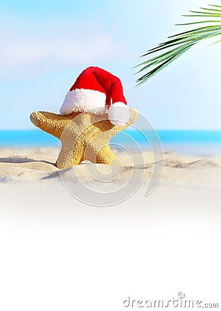 Summer beach. Merry Christmas. Starfish in Santa Claus hat Stock Photo