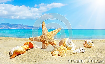 Summer beach with starfish and shells Stock Photo