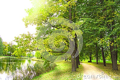 Summer beautiful landscape of a walking alley with tall trees and a pond in the city Park, a place for private walks and Stock Photo