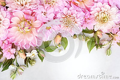 Summer blossoming delicate dahlias, blooming flowers festive background Stock Photo