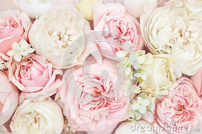 Summer blossoming delicate roses blooming flowers festive background, pastel and soft bouquet floral card, toned Stock Photo