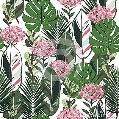 Summer botanical jungle leaves pattern, tropical seamless, hydenyear flower for fashion fabric and all prints Stock Photo