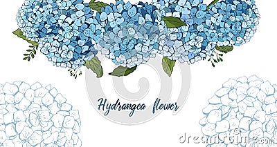 Summer botanical vector design banner. hand drawing . Light blue hydrangea. Natural card or frame. Floral borders. All elements Vector Illustration