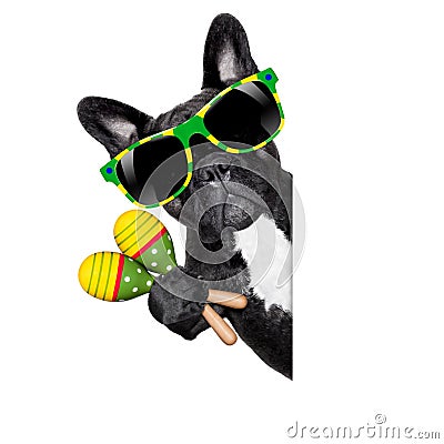 Summer brazilian dog Stock Photo