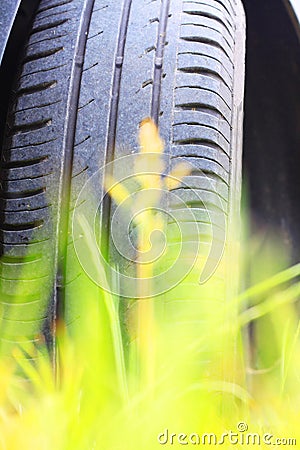 Summer car tire close-up in summer Stock Photo