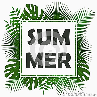 Summer card design with - tropical palm leaves, jungle leaf , exotic plants and border frame. Graphic for poster, banner. Vector. Vector Illustration