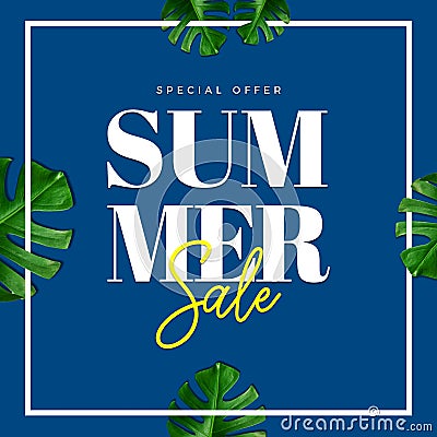 Summer sale special offer card illustration with top wiew on pool Cartoon Illustration