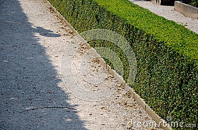 Summer castle parterre with boxwood hedges honestly trimmed around which the path leads from light gravel Stock Photo