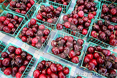 Summer cherries Stock Photo