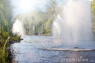 Summer city park with fresh fountains in lake. Mezhyhirya in Novi Petrivtsi, Ukraine Stock Photo