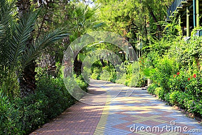 Summer city street, resort town, a beautiful bike path in the park among exotic palms and trees. Summer, spring vacation, Turkey, Stock Photo