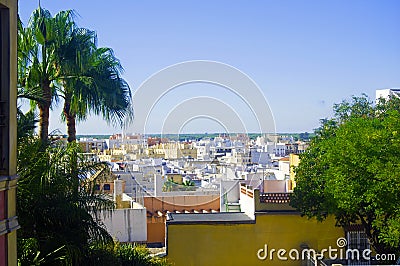 Summer city view, white houses, palm trees, Spain Stock Photo