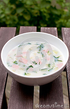 Summer cold russian soup Stock Photo