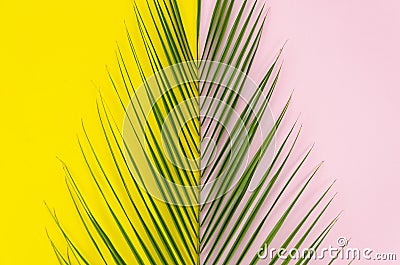 Summer is coming pop art concept. Top view palm leaf on yellow and light pink background Stock Photo