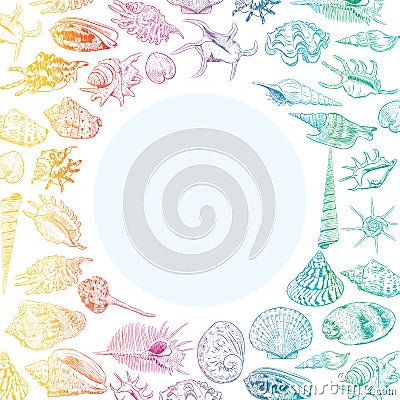 Summer concept with Unique museum collection of sea shells rare endangered species, molluscs rainbow contour on white background. Vector Illustration