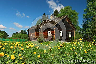 Summer country house flowers Stock Photo