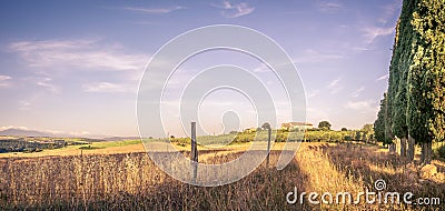 Summer country landscape Stock Photo