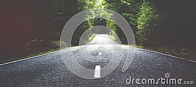 Summer Country Road With Trees Beside Concept Stock Photo