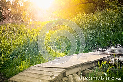 Summer countryside landscape with small pier Stock Photo