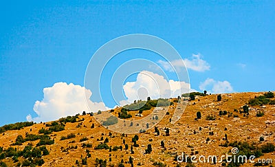 Summer Crimean hill landscape Stock Photo