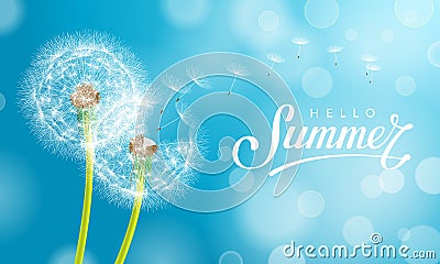 Summer dandelion Blue Vector Illustration