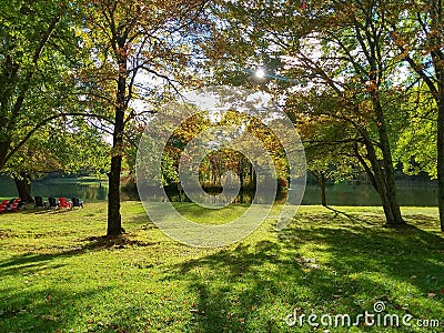 Summer Day Background Outside Green Trees and Grass Stock Photo