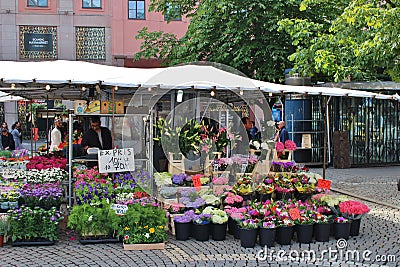 Summer day at HÃ¶torget Editorial Stock Photo