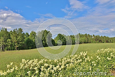 Summer day in Norrbotten Stock Photo
