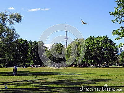 A summer day in the park on Toronto Island, overlooking the CN t Editorial Stock Photo