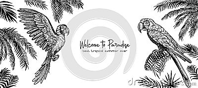 Summer design with parrots and palm leaves. Vector template with illustration for banner or cover. Vector Illustration