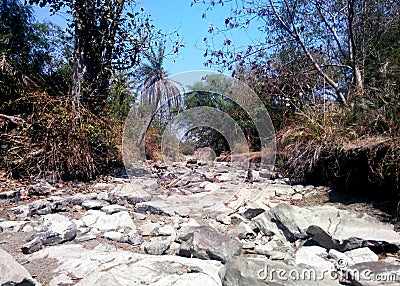 Summer dried river in tropical Indian forest Stock Photo