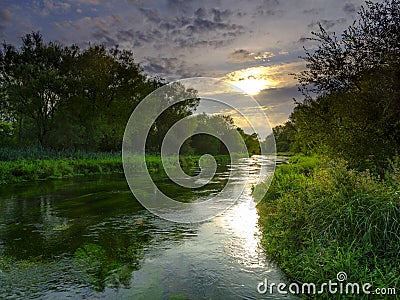 Summer evening golden light on the River Itchen - full of Water Crowfoot (Ranunculus aquatilis) and a well known chalk stream fly Stock Photo