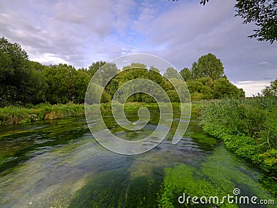 Summer evening golden light on the River Itchen - full of Water Crowfoot (Ranunculus aquatilis) and a well known chalk stream fly Stock Photo