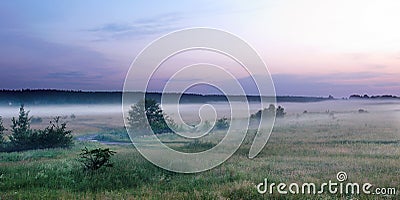 Summer evening landscape Stock Photo