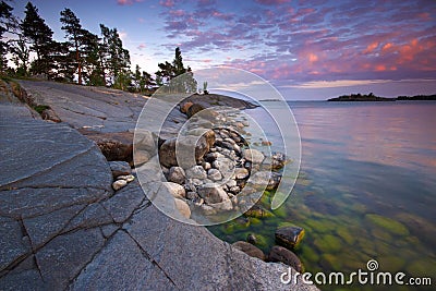 Summer evening landscape Stock Photo