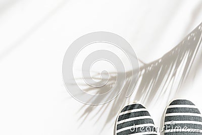 Summer fashion tropical concept. Women`s female beachwear canvas striped shoes on white background with palm leaves silhouette Stock Photo