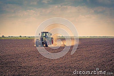 Summer field in agriculture Editorial Stock Photo