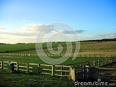 Summer field and blue skies Stock Photo