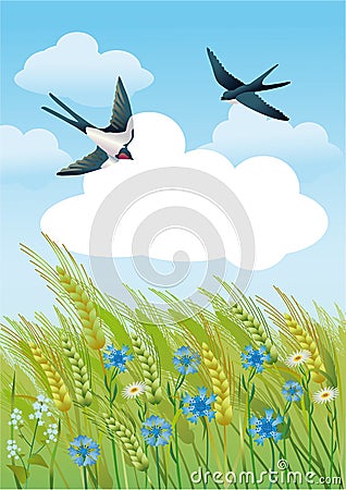 Summer field with swallows Vector Illustration