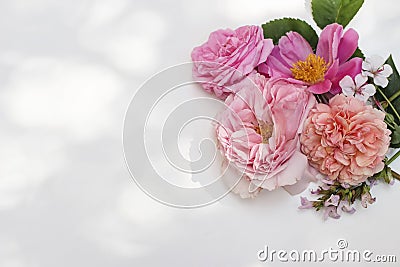 Summer floral decorative corner. Colorful garden flowers and herbs isolated on white table in sunlight. English roses Stock Photo