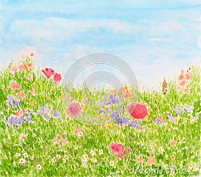 Summer Flowers on Daylight Meadow, Watercolor Hand Painted Stock Photo